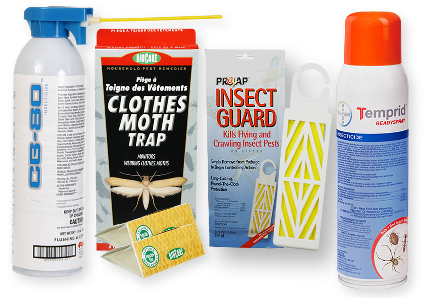 How to Get Rid of Clothes Moths & More: Canberra Pest Control